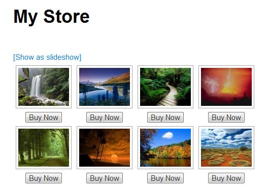 a screenshot showing the wordpress photo store