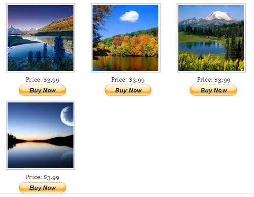 sell photos from wordpress demo