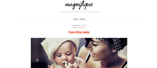 screenshot showing the PT Magnifque theme