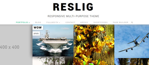 screenshot showing the PT Reslig theme