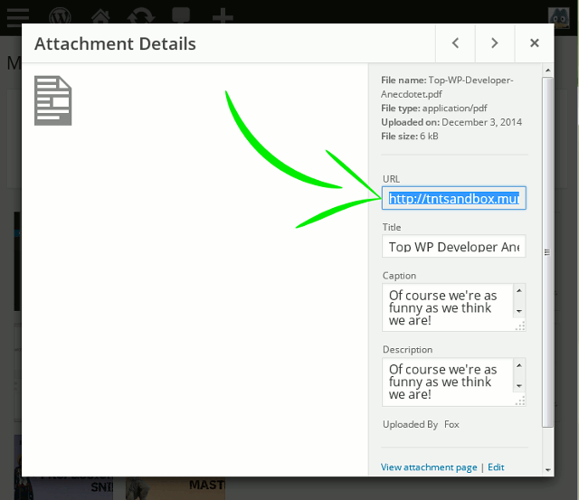 screenshot showing how to copy e-book link after uploading via WordPress media uploader