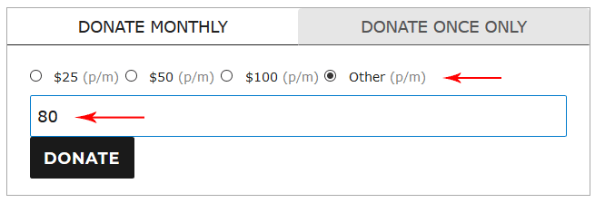 any-custom-amount-recurring-donation-example
